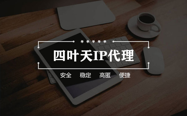 【日照代理IP】如何快速搭建代理IP？怎么检查代理的效果？